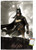 Trends International DC Comics Video Game - Arkham Knight - Batgirl Wall Poster 14_725 x 22_375 Premium Poster   Mount Bundle