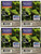 Better Homes and Gardens Fresh Cut Frasier Wax Cubes (4 Pack - 24 Cubes)
