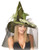Rubies Costume Co Grn Witch with Feathr  Veil Costume