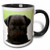 3dRose mug_21198_4"Pug Puppy" Two Tone Black Mug, 11 oz, Multicolor