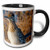 3dRose mug_92596_4"Roadrunner bird, Bosque del apache NWR, New Mexico - US32 CHA0044 - Chuck Haney" Two Tone Mug, 11 oz, Black/White