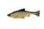 Savage Gear - Pulse Tail Shiner 7 LT Golden Shiner