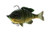 Savage Gear 3D Line Thru Bluegill 6 3 12oz F Light Gill Savage Gear 3D Line Thru Bluegill 6 3 12oz F Light Gill