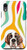 iPhone XR Saint Bernard Dog Rainbow Zebra Print Animal Head Case