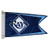 MLB Tampa Bay Rays Boat and Golf Cart Flag