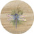 Thirstystone Sandstone Trivet Dragonfly
