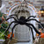 synmixx Halloween Spider Decorations - Giant Halloween Spider Web and Fake Large Hairy Spider Props for Halloween Decorations Indoor Outdoor Yard Decor Home Costumes Parties Haunted House Decor