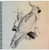3dRose db-123739-1 Cockatiel Vintage Bird Drawing Book 8 by 8-Inch