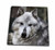 3dRose db-57721-1 Gray Wolf Looking Straight at You Drawing Book 8 by 8-Inch