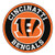 FANMATS 17955 NFL Cincinnati Bengals Roundel Mat