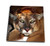 3dRose db-3346-1 Cougar Drawing Book 8 by 8-Inch