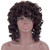 ELIM Short Curly Kinky Wigs for Black Women Fluffy Wavy Brown Synthetic Hair Wig Natural Looking Wigs Heat Resistant Wigs with Wig Cap Z014BR ELIM Short Curly Kinky Wigs for Black Women Fluffy Wavy Brown Synthetic Hair Wig Natural Looking Wigs Heat Resistant Wigs with Wig Cap Z014BR