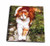 3dRose db-574-1 Orange Cat Drawing Book 8 by 8-Inch