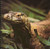 3dRose db-73146-1 Oceania Indonesia Komodo Dragon Lizard-AS11 MWE0235-Michele Westmorland-Drawing Book 8 by 8-Inch