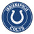 FANMATS 17961 NFL Indianapolis Colts Roundel Mat