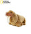 NATIONAL GEOGRAPHIC Walrus Plush - Medium Size