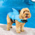 SwimWays Sea Squirts Doggie Jacket Blue Medium