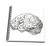 3dRose db-38393-1 Brain Drawing Book 8 by 8-Inch