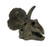 Things2Die4 Triceratops Dinosaur Head Fossil Statue Small