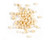 Puffed Quinoa 1_5 Pound Box
