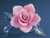 Glass Baron ~ Pink Rose