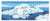 Pintoo - H2176 - Panorama - Smart - Vacation Penguins - 1000 Piece Plastic Puzzle