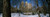 Posterazzi Bare trees with buildings in the background Central Park Manhattan City New York State USA Poster Print 36 x 12