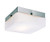 Trans Globe Lighting Halogen Square Flush Mount, 6