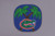 Collegiate Melamine Plates Set of 8 Florida Gators