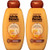 Garnier Hair Care Whole Blends Repairing Shampoo Honey Treasures for Damaged Hair, 2 Count