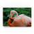 Flamingo Center by Robert Michaud 12x19-Inch