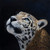 Posterazzi Collection Realistic Leopard FACE Poster Print by Atelier B Art Studio 24 x 24