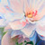 Posterazzi Collection Pastel Colored Flower Poster Print by Atelier B Art Studio 24 x 24