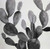 Posterazzi Collection Grayscale Cactus Poster Print by Atelier B Art Studio 24 x 24
