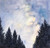 Posterazzi Collection Starry Sky in A Dark Forest Poster Print by Atelier B Art Studio 24 x 24