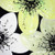 Posterazzi Collection Yellow Flower with Burst Center Poster Print by Atelier B Art Studio 24 x 24