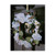 Welcome Home by Ron Parker 14x19-Inch