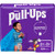Pull-Ups Learning Designs Boys Training Pants 2T-3T 124 Ct