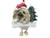Pekingese Ornament with Unique "Dangling Legs" Hand Painted and Easily Personalized Christmas Ornament