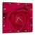 3dRose DPP-14152-1 Wall Clock Red Rose Center Closed 10 by 10-Inch