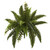 Nearly Natural 14 Boston Fern Set of 6 Artificial Plant Green