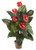 Nearly Natural 6619 Anthurium Decorative Silk Plant 3-Feet Red