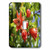 3dRose lsp-52669-1 Pomegranate Blossom Toggle switch