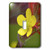 3dRose LLC lsp-87336-1 Alaska Buttercup and Paintbrush Flowers Us02 Bja0066m Jaynes Gallery Single Toggle Switch