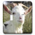 3dRose lsp-46820-2 The Lonely Goat Toggle Switch