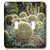3dRose LLC lsp-12672-2 Cactus Garden Ball Cactus Double Toggle Switch