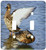 3dRose lsp-50379-2 Female Mallard Ducks Bath time Toggle switch