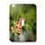 3dRose LLC lsp-59648-1 An Orange Budding Branch in Grass Valley Utah Single Toggle Switch