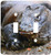 3dRose lsp-73174-2 Indonesia Sunda Archipelago Komodo Dragon lizard Double Toggle Switch