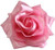 Light Pink Rose Hair Clip from Sourpuss Clothing